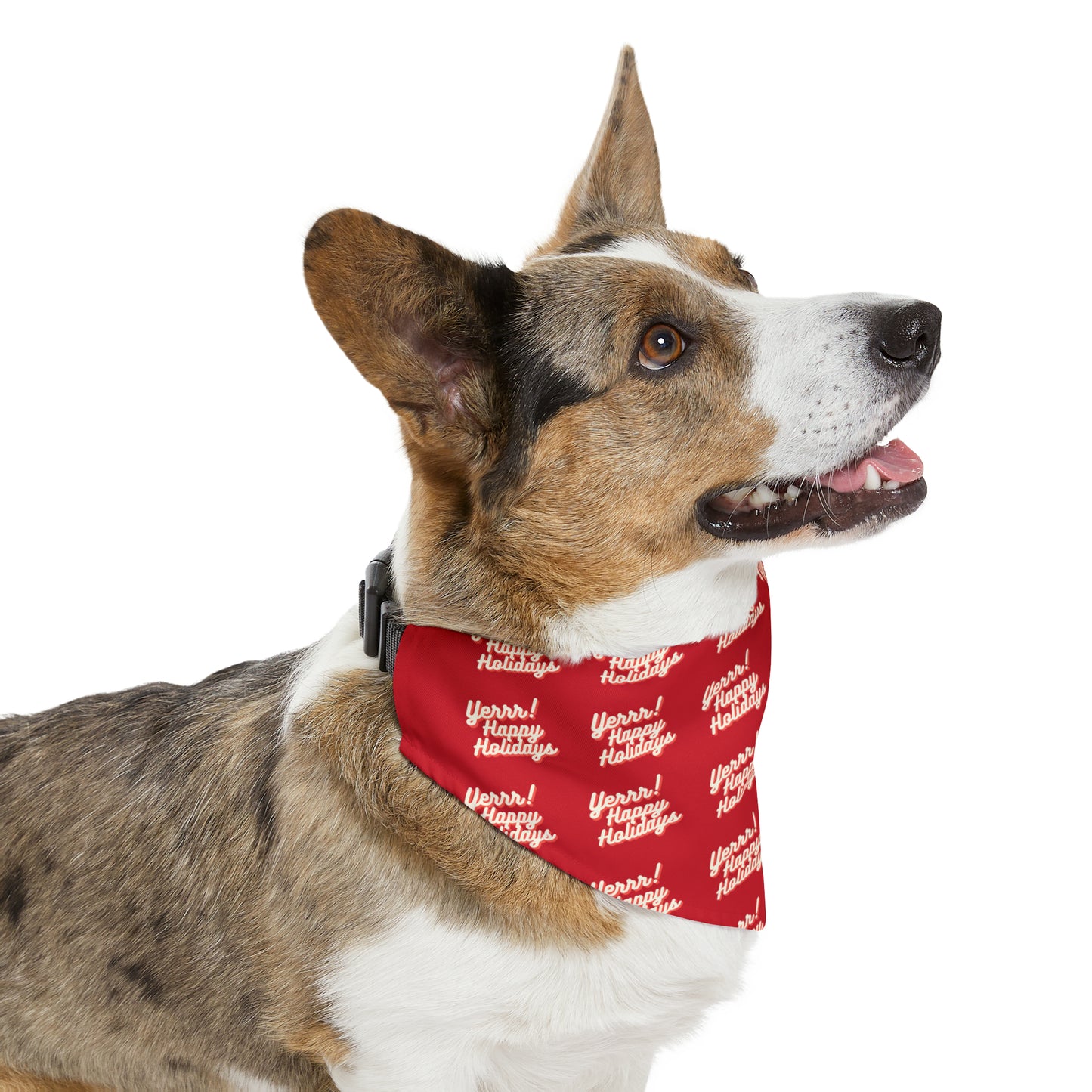 Yerrrr Happy Holidays Red Pet Bandana Collar