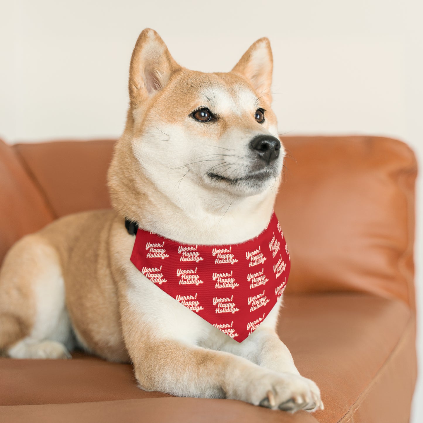 Yerrrr Happy Holidays Red Pet Bandana Collar